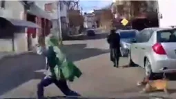 У Луцьку хлопець і собака ледь не потрапили під колеса авто (відео)