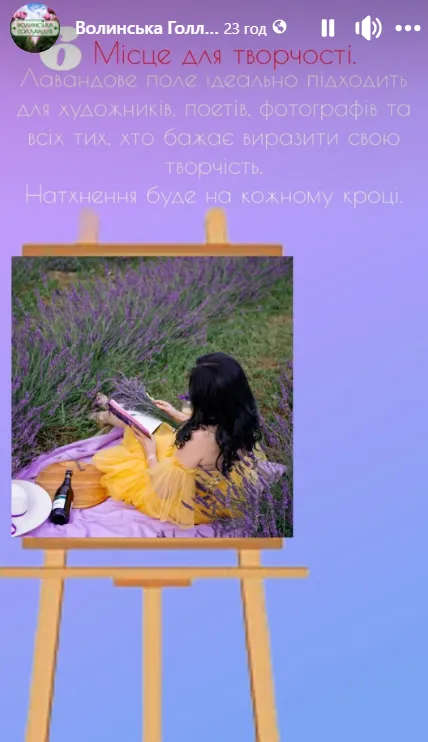 ТОП-6 причин відвідати лавандове поле у «Волинській Голландії»