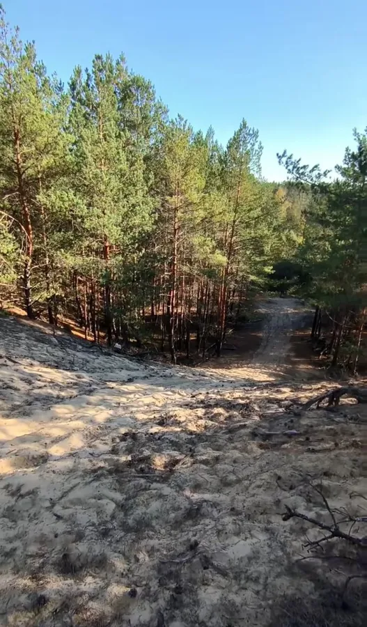 Волинські дюни: що це і де вони є (відео)