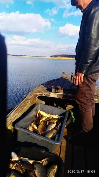 У Хрінницьке водосховище вселили майже тонну риби