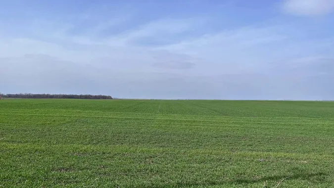 Погода сприяє: на Волині аграрії сіють соняшник