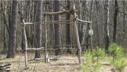 У Цуманській пущі зафіксували рідкісних птахів (фото)