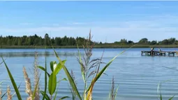 Невелике, але з рибою: на Волині є озеро у формі людського органа (фото)