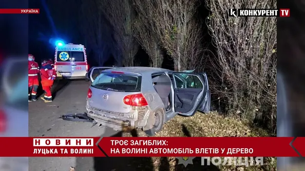 На Волині авто в'їхало в дерево – загинули троє людей (фото, відео)