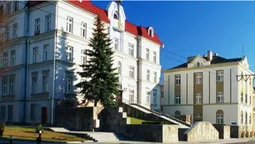Що зробили «СВІДОМІ» за перший рік каденції в Луцькраді (відео)