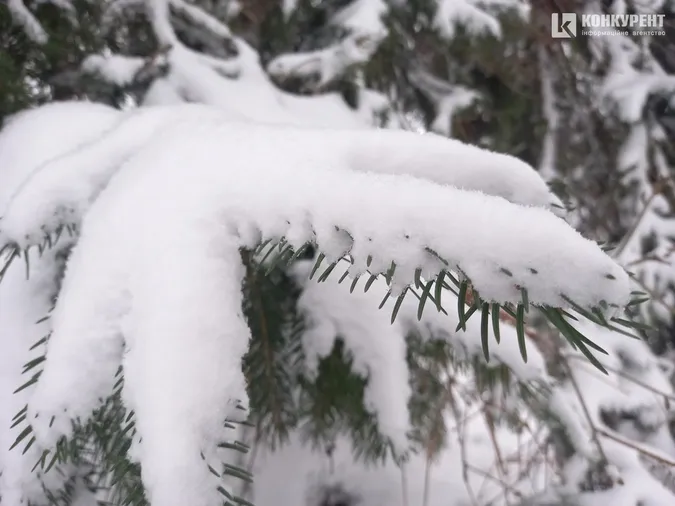 Сніжно і безлюдно: зима у Центральному парку Луцька (фото)