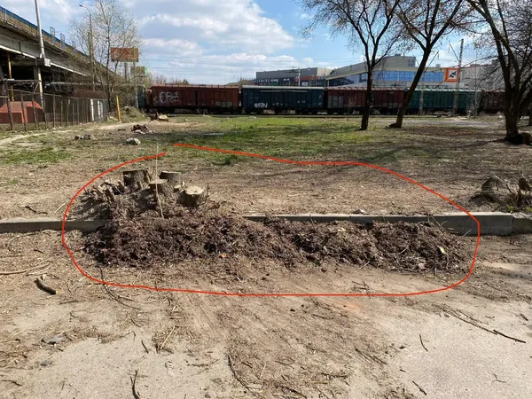 Лучани просять вивезти органічне сміття під шляхопроводом (фото)