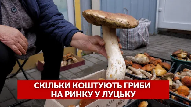 Сезон у розпалі: які ціни на гриби у Луцьку (відео)