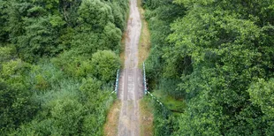 На Волині заховався унікальний куточок дикої природи, де мешкають бобри та видри (фото)