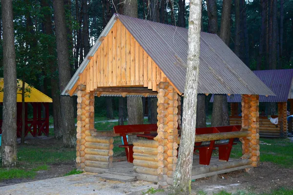 Лісівники соціальні: подорож рекреаційними пунктами Волині (фото)