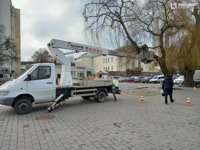 У центрі Луцька прикрашають вогниками дві верби (фото)