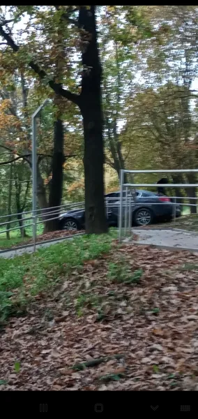 У луцькому парку «Дубки» легковик врізався в дерево (фото, відео)