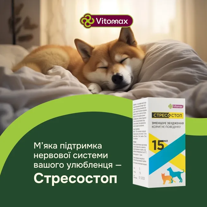 Лікувальні препарати для собак: вирішення основних проблем здоров'я