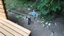 Біля істфаку в Луцьку понищили оригінальні лавки (фото) 