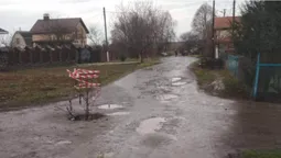 Болото та калюжі: лучанин поскаржився на жахливий стан вулиці (фото)