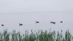 Як прокидається Світязь: фото магічного ранку