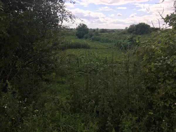 Поблизу - городи