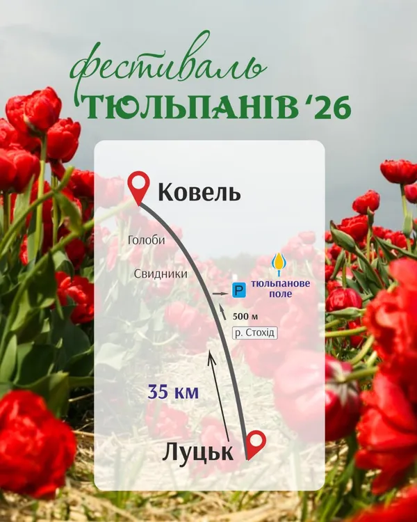 На Волині відкриють фестиваль тюльпанів: назвали дату і що чекає гостей