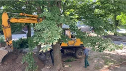 На проспекті Волі розрили двір: мешканці обурені (фото)