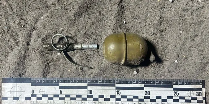 На Волині у 29-річного домашнього тирана забрали гранату