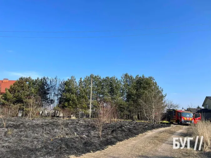 У Володимирі невідомі підпалили сосни біля житлового будинку (фото)