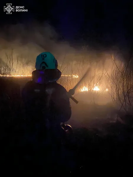 За добу на Волині вигоріло майже 6 гектарів сухої рослинності (фото)