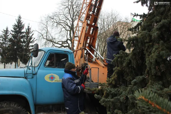 Історії навколо ялинки: хто і як прикрашає головні дерева міста (частина 1)