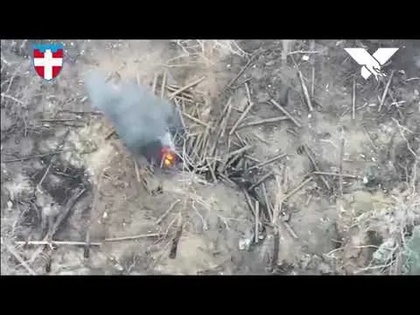 Волинські «ворони» відправили на концерт Кобзона окупантів (відео)