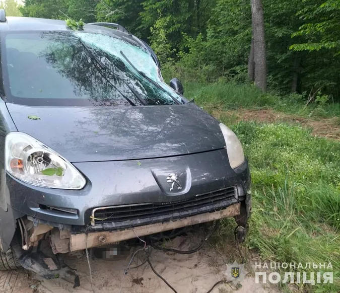 У Луцькому районі п'яна дитина на «пежо» збила чоловіка та злетіла у кювет (фото)
