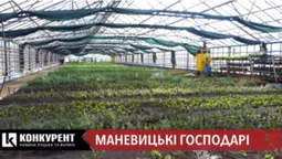 Петрушка, кущі та лимони: маневицькі лісівники хизуються теплицею (відео)