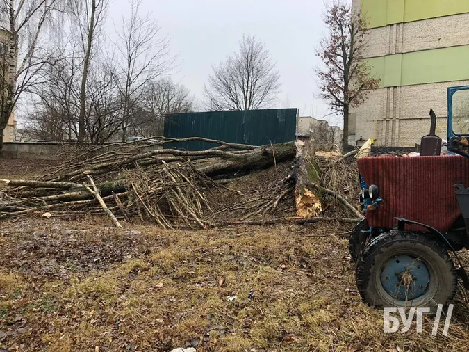Карма: у Нововолинську суха тополя впала на авто, припарковане у «зеленій» зоні (фото, відео)