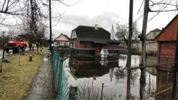 У Луцьку та Ковелі затопило двори (фото)