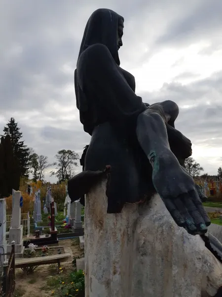 «Роздягнули» та повідривали руки: у Володимирі вандали сплюндрували пам'ятники (відео, фото)