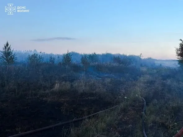 На Волині майже добу гасили пожежу торфу (фото)