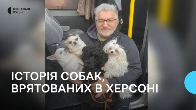 Волинянин врятував п'ятьох собак-переселенців з Херсона (відео)