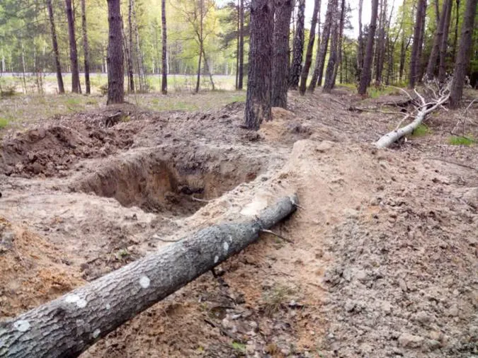 У маневицькому лісі затримали копачів бурштину (фото)