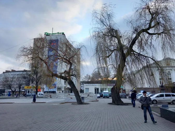 У центрі Луцька засвітили вербу, але тільки одну (фото)