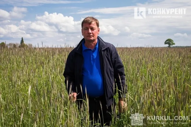 Волинські агрогосподарства діляться секретами вирощування жита 