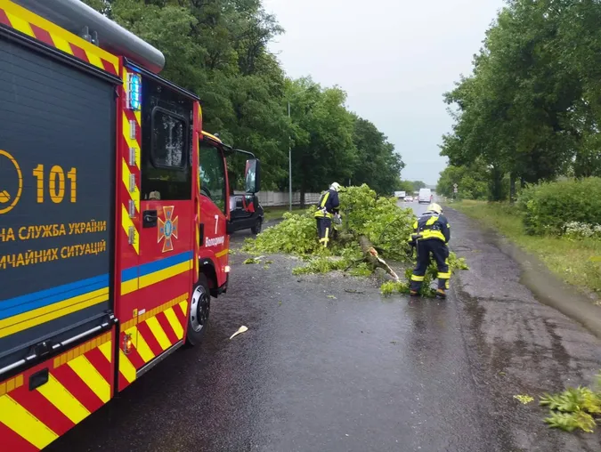 Наслідки негоди: буревій повали дерева на волинські дороги (фото)
