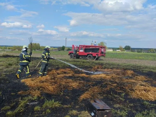 В селі на Волині загорілася солома – вогонь перекинувся на суху траву (фото)