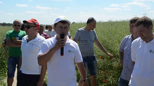 День народження, гроші в піску та оркестр у лісі: на Волині День поля (фото, відео)