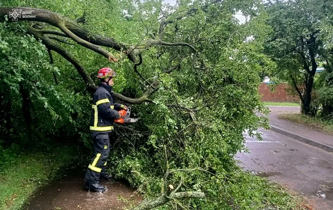 На Волині лютувала буря – показали наслідки негоди (фото)