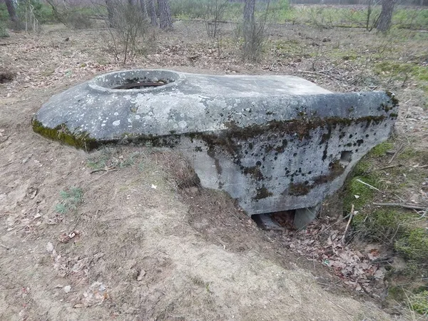 На Волині знайшли німецькі таємні споруди (фото)