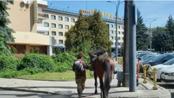 «Проскакав» до ЦУМу: в Луцьку помітили мандрівника з конем (фото)