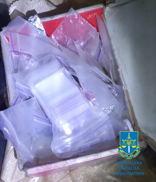 Волинянина судитимуть за збут небезпечних психотропів (фото)