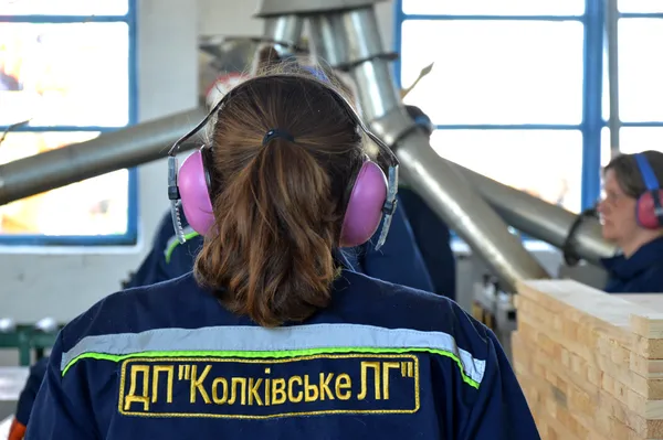 Волинська Швейцарія та селфі: лісівники провели майстер-клас із безпеки (фото)