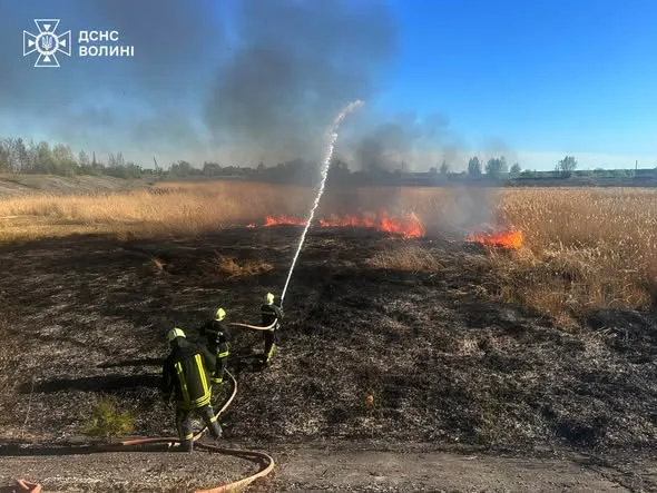 Горіли чагарники та очерет: на Волині загасили 10 пожеж (фото)