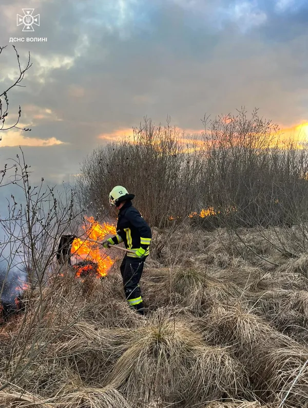 Найбільше – на Ковельщині: на Волині за добу вигоріло понад 7 гектарів (фото)