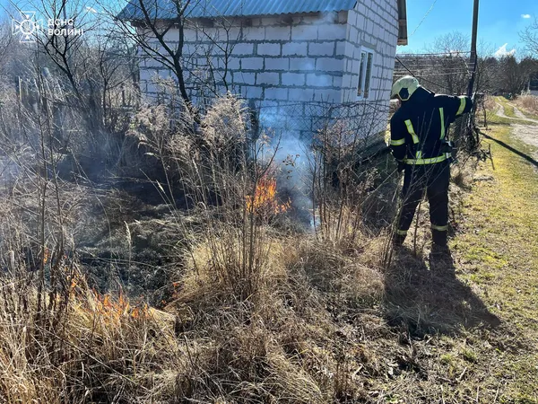 На Волині за добу згоріли майже 5 гектарів чагарників (фото)