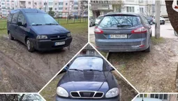 Буде штраф: у луцькому дворі пів десятка автомобілів стояли на клумбах і газонах (фото)